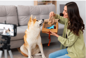 Top 10 Healthy Dog Treats for 2024